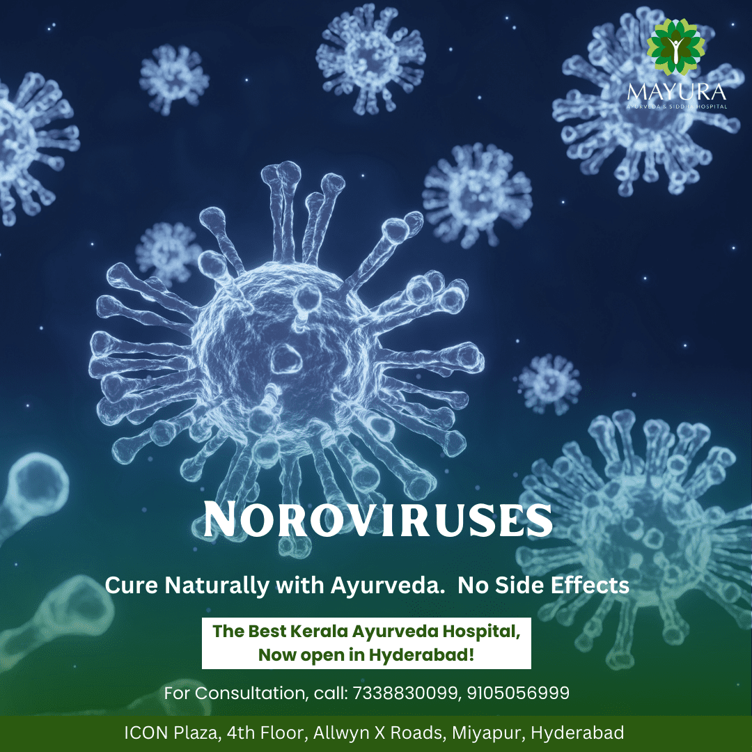 Understanding Noroviruses Symptoms, Prevention, and Treatment Options Mayura Ayurveda